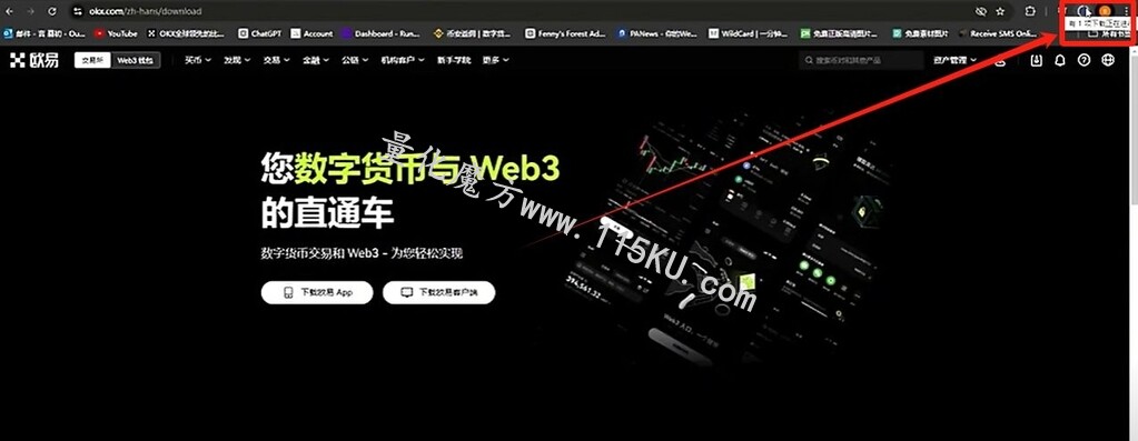 175808urr82uz02svmruxr.jpg