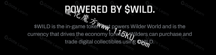 165507dzqp9hsf4esosss5.png